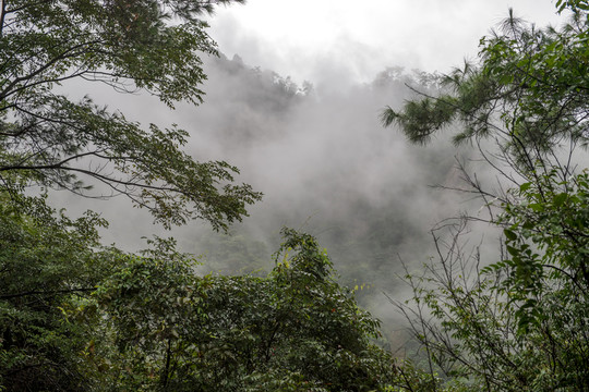 高山云霧