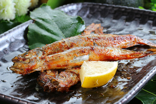 多春魚