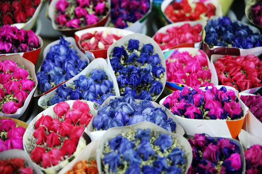花束背景實拍