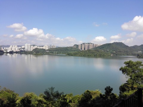 深圳水庫東湖公園大壩仙湖植物園