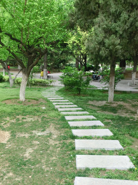 公園小路