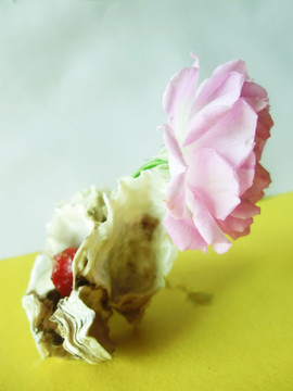 海螺與薔薇花