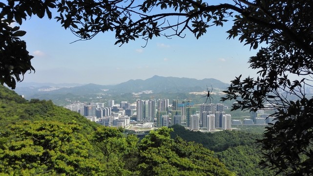 梅林水庫 陽光明媚 早晨 深圳