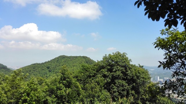 藍(lán)天白云綠樹(shù)成蔭風(fēng)和日麗的梅林