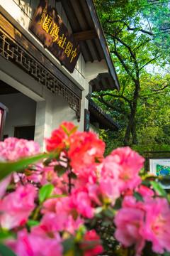 杜鵑園
