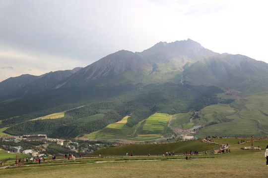 卓爾山