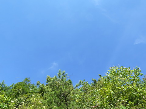 藍(lán)天