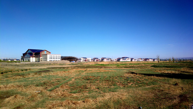田野