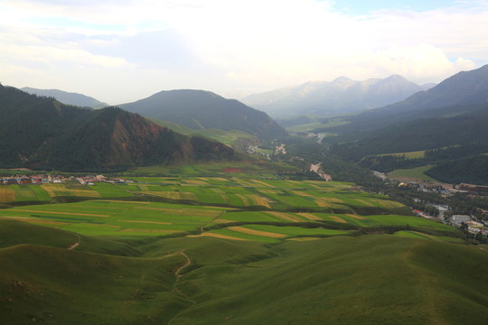 卓爾山