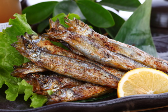 多春魚