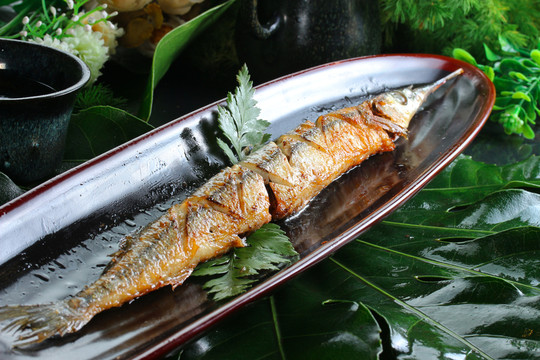 棒魚