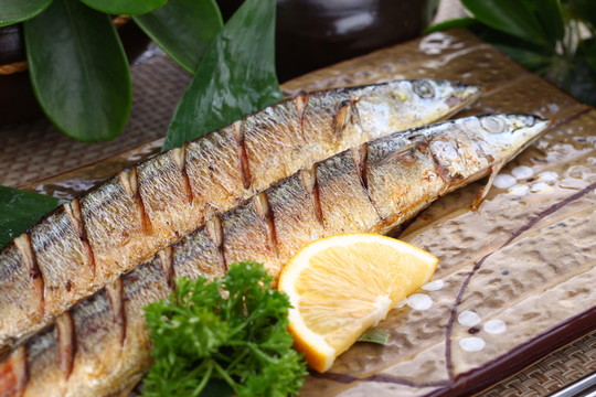 煎秋刀魚(yú)