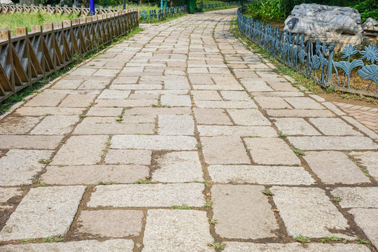 公園小路