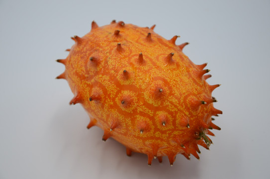 一只火參果
