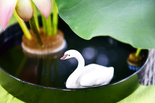 香道