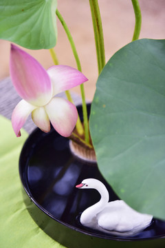 香道養(yǎng)生