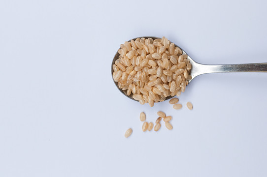 麥仁