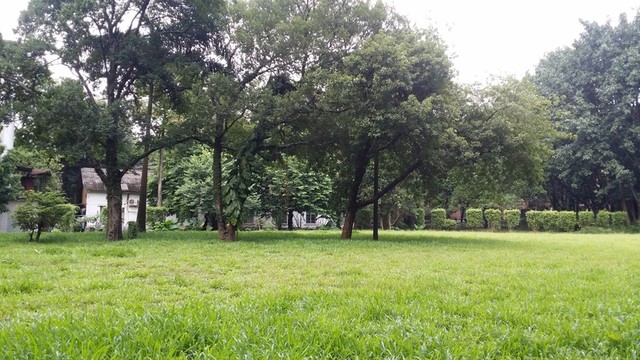 中山大學(xué)校園