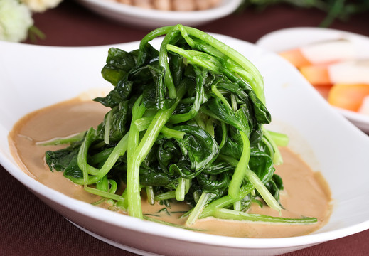 雞毛菜