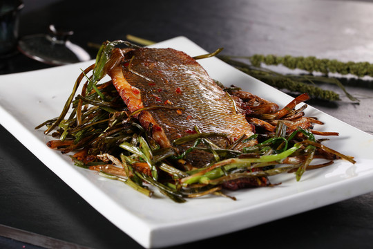 鱸魚(yú)