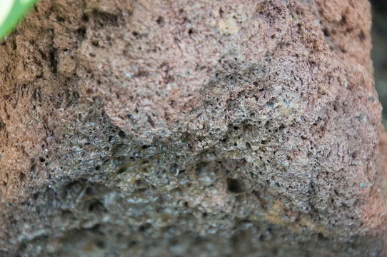火山石特寫