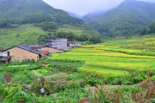 田園風(fēng)光