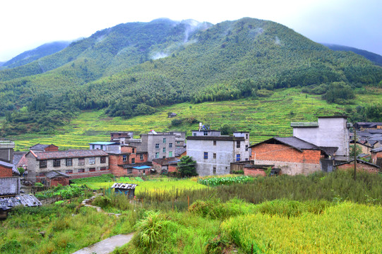 鄉(xiāng)村美景