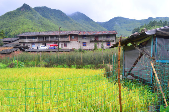 田園風(fēng)光