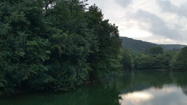 瑯琊山之綠