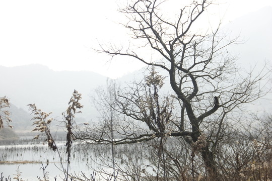 湖泊