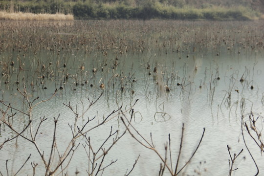 湖泊