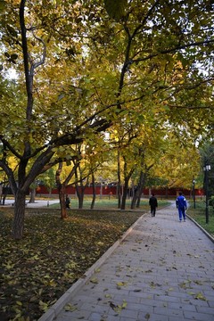 公園秋色