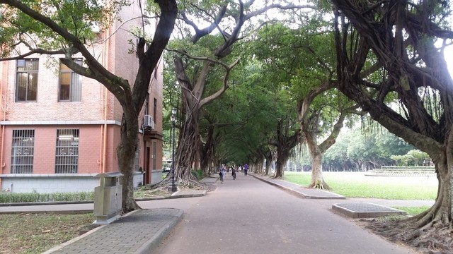 中山大學(xué)校園
