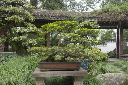 園林景觀