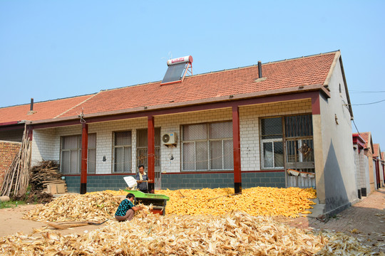 農(nóng)家小院