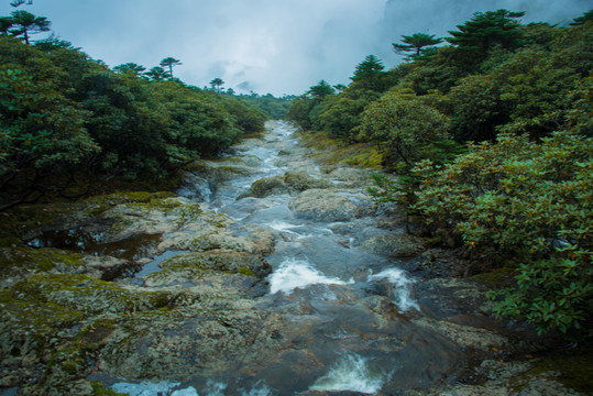 大霧中的轎子山