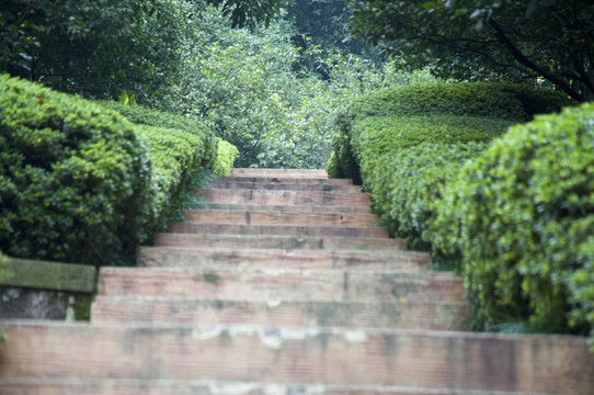 公園石梯