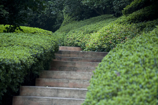 公園綠化