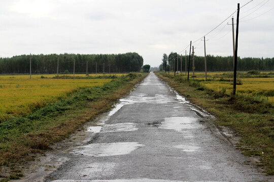 田間路