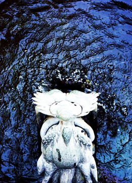 石雕龍頭 泉水
