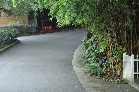 竹林