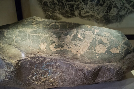 賀蘭山巖畫 古代巖畫 動物符號