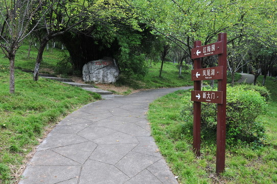 林間小路