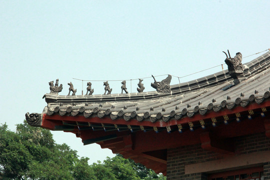 屋頂