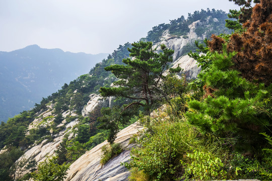 云蒙山風(fēng)光