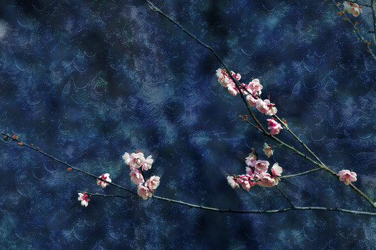 梅花油畫