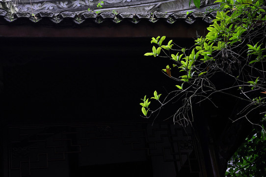 漢瓦綠葉設(shè)計(jì)背景