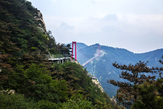 高空索橋