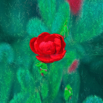 花朵油畫
