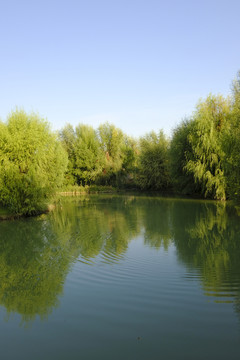 小河 湖泊
